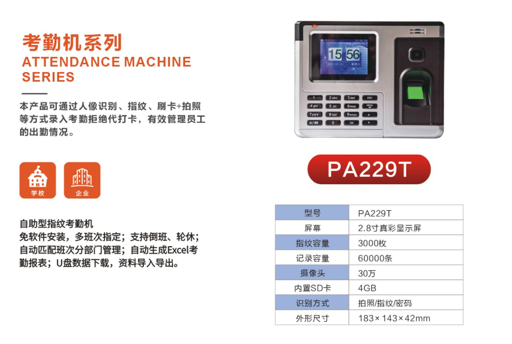 pa229t.jpg
